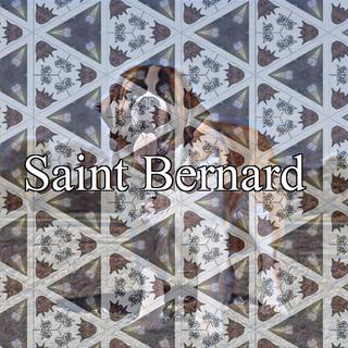 Saint Bernard