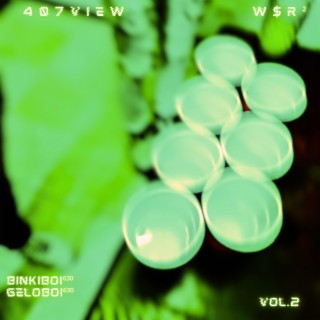 407VIEW, Vol. 2