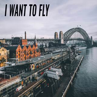 I want to fly