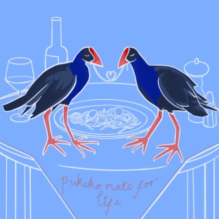 Pukeko Mate For Life