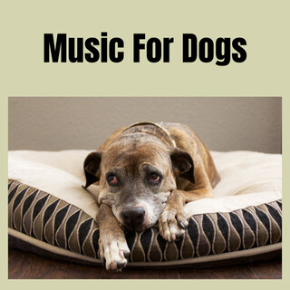 Music For Dogs