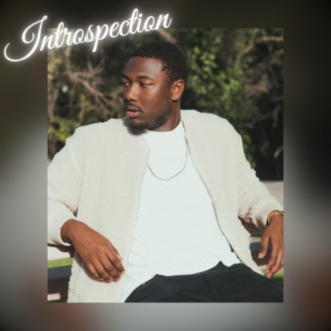 Introspection | Boomplay Music