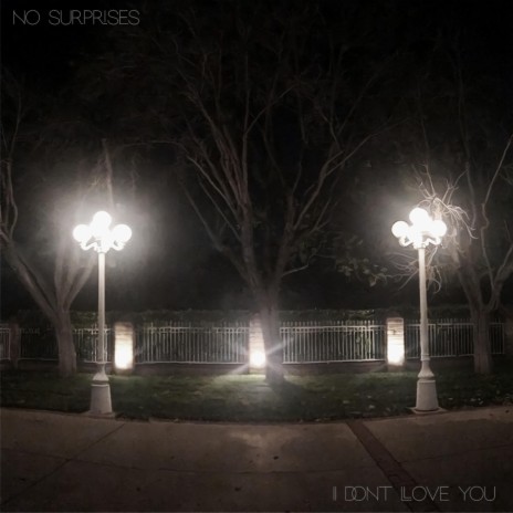 I Don't Love You (Single Mix)