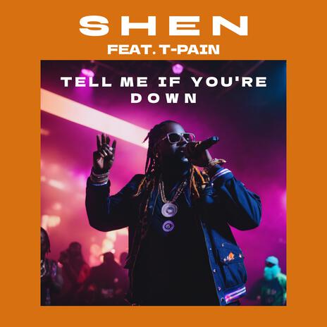 Tell Me If You're Down (feat. T-Pain) | Boomplay Music