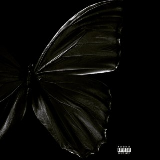 Black Butterfly lyrics | Boomplay Music
