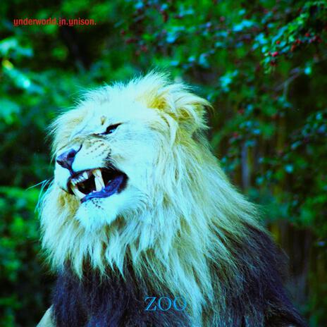 Zoo