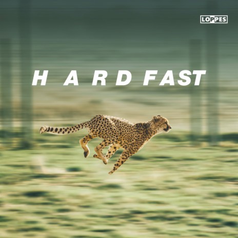 Hard Fast | Boomplay Music
