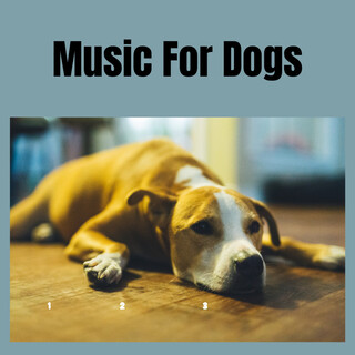 Music for Dogs