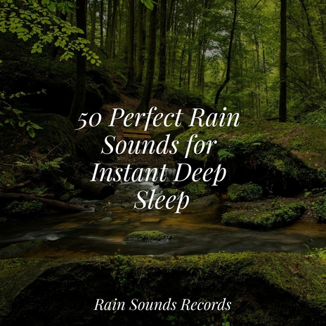 Feathered Lullabies at Dusk ft. Naturaleza Sonidos & Rain Sounds | Boomplay Music