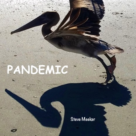 PANDEMIC