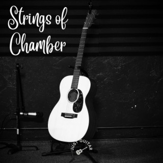 Strings Of Chamber (Acoustic Guitar Instrumental)