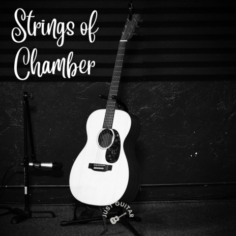 Strings Of Chamber (Acoustic Guitar Instrumental) | Boomplay Music