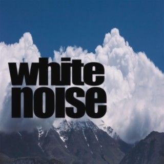 White Noise Concentration