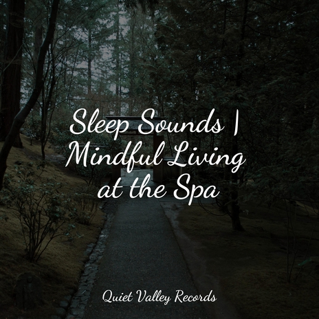 Calm Ocean Waves ft. Life Sounds Nature & Sleep Recording Sounds | Boomplay Music