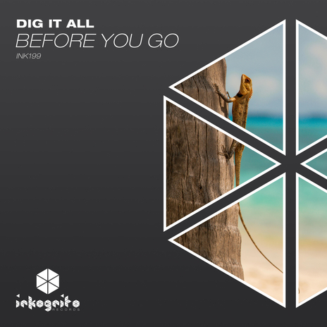 Before You Go ft. Inkognito Records | Boomplay Music