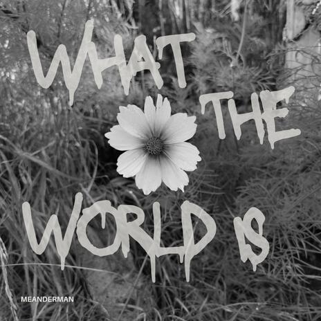 What The World Is | Boomplay Music