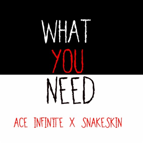 What You Need ft. snakeskin | Boomplay Music