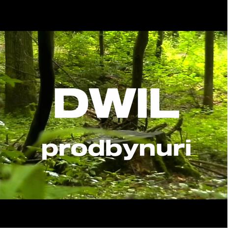 DWIL ft. NXRI | Boomplay Music