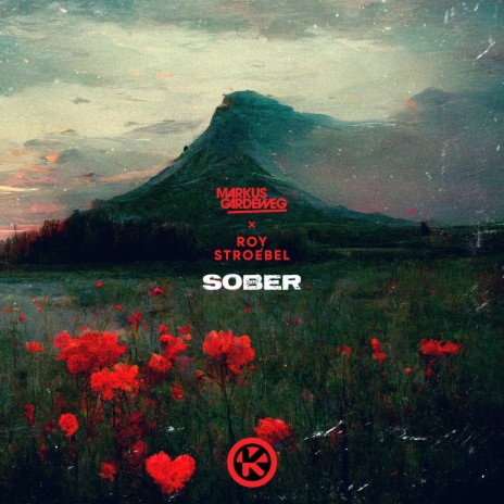 Sober ft. Roy Stroebel | Boomplay Music