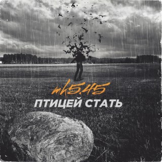 Птицей стать