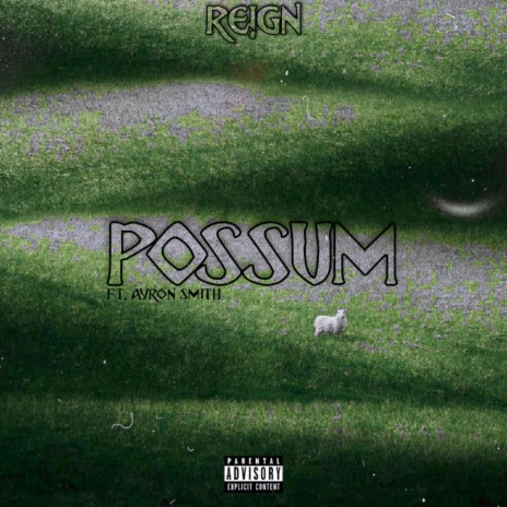 Possum ft. Ayron Smith | Boomplay Music