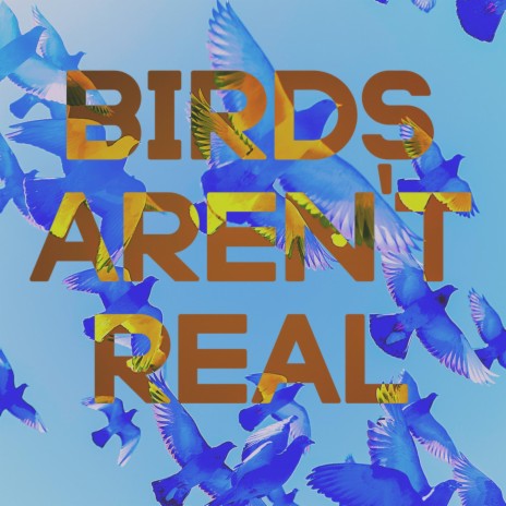 Birds aren't real | Boomplay Music
