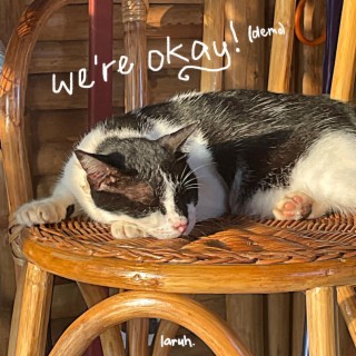 we're okay (demo)