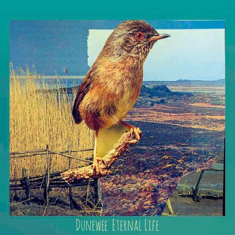 Eternal Life | Boomplay Music