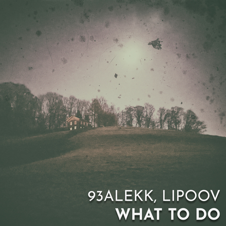 What To Do ft. Lipoov