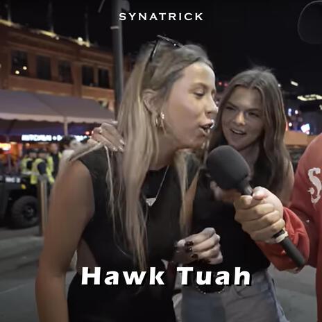 Hawk Tuah (Spit On That Thang) | Boomplay Music