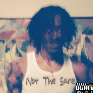 Not The Sane lyrics | Boomplay Music