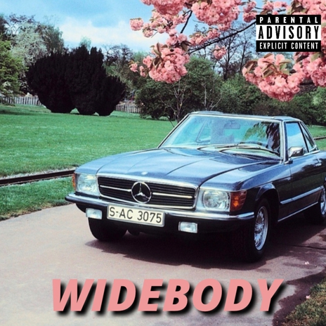 WideBody | Boomplay Music