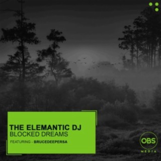 The Elemantic DJ