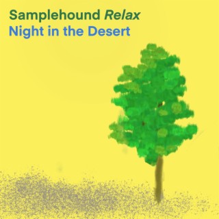 Night in the Desert