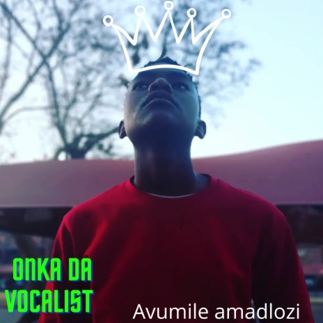 Avumile Amadlozi | Boomplay Music