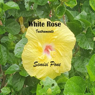 White Rose Instruments