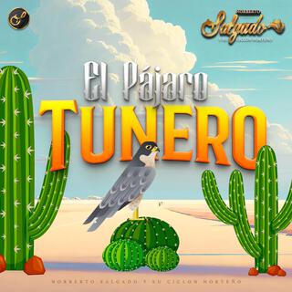 El pájaro tunero