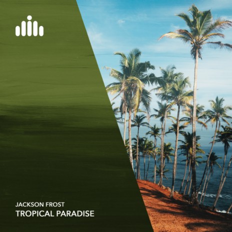 Tropical Paradise | Boomplay Music