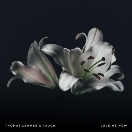 Love Me Now ft. Tauon | Boomplay Music