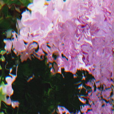 lilac. | Boomplay Music