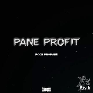 Pane profit