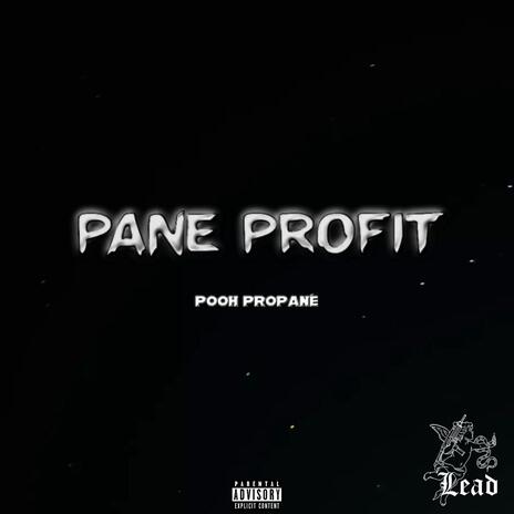 Pane profit | Boomplay Music