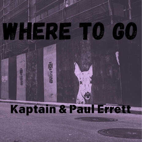 Where To Go ft. Kaptain | Boomplay Music