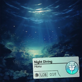 Night Diving