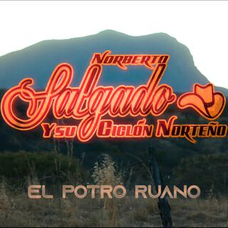 El potro ruano