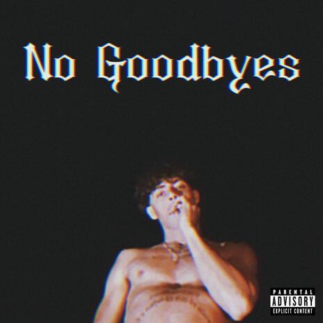 No Goodbyes | Boomplay Music