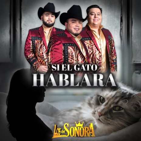 Si El Gato Hablara | Boomplay Music