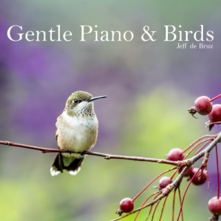 Gentle Piano & Birds