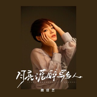 月亮灌醉异乡人 lyrics | Boomplay Music