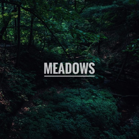 Meadows